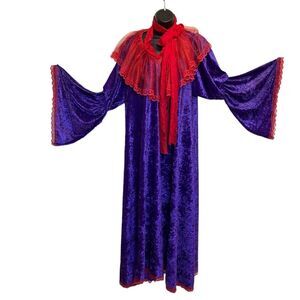 Vintage Crushed Velvet & Lace Elsie Massey Gown Theater Costume Renaissance S